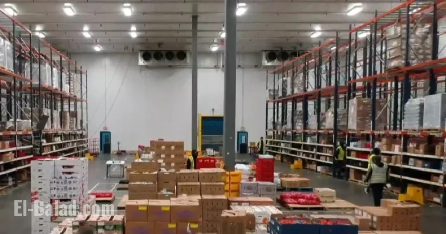 Company Rescues Imperfect Produce Rejected by Grocery Stores