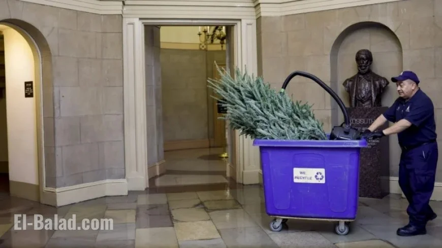 Experts Advise on Common Holiday Waste Recycling Mistakes