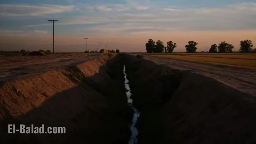 California Farmer Michael Abatti Arrested for Murdering Wife Kerri Ann in Arizona