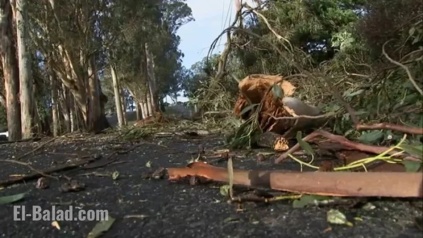 Thousands Remain Without Power in South Bay After Christmas Storm