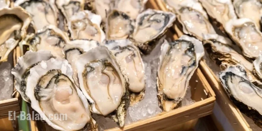 Salmonella Outbreak from Raw Oysters Affects 22 States, Including SC