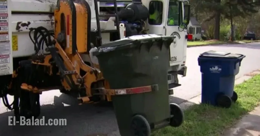 Recycle Christmas Trees and Decorations: A County Guide