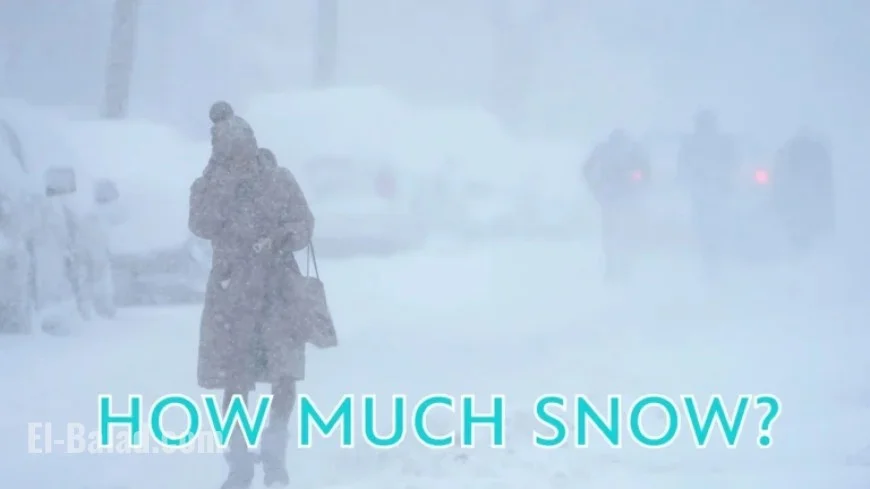 Winter Storm 12/26/25: NYC, NY, NJ, CT Snowfall Totals Revealed