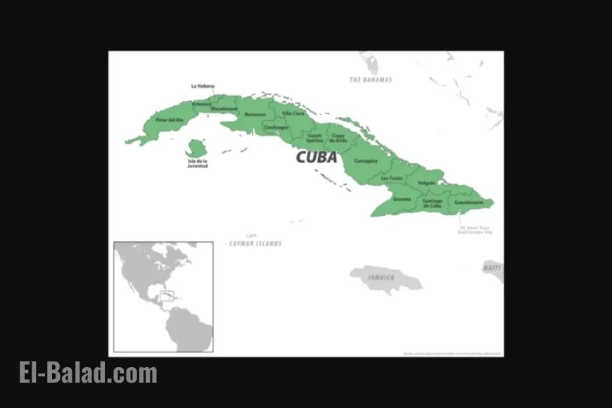 Chikungunya Fever Affects 44 More Florida Visitors