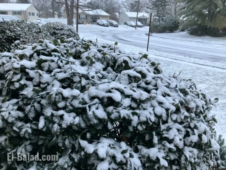 N.J. Forecast: Black Ice and Freezing Temps Today, 50 mph Winds Sunday