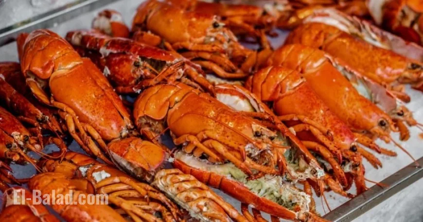 Lobsters Worth $400,000 Stolen on Route to Costco, Says Shipper