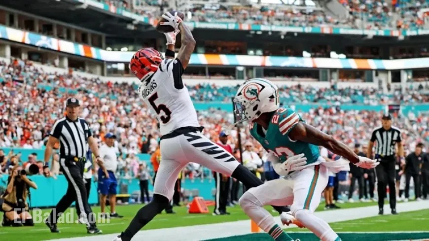 Joe Burrow Lauds Tee Higgins for Historic Bengals Achievement