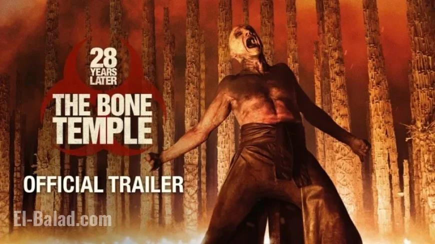 28-Year Legacy: Discover the Bone Temple