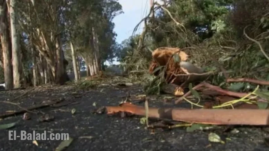 December 27 Match: Predicted Lineup Against Detroit