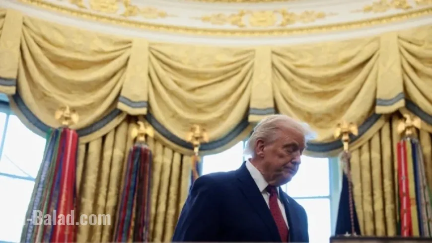 Donald Trump Approval Rating: Discover Latest Year-End Polls