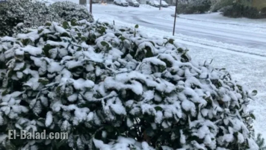 Weekend Warmup: Fog Ushers in Warm Temperatures Before 40s Return