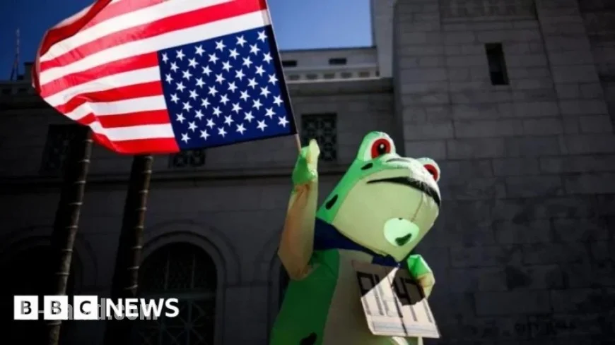 Frogs Evolve from Right-Wing Meme to Anti-ICE Protest Icon