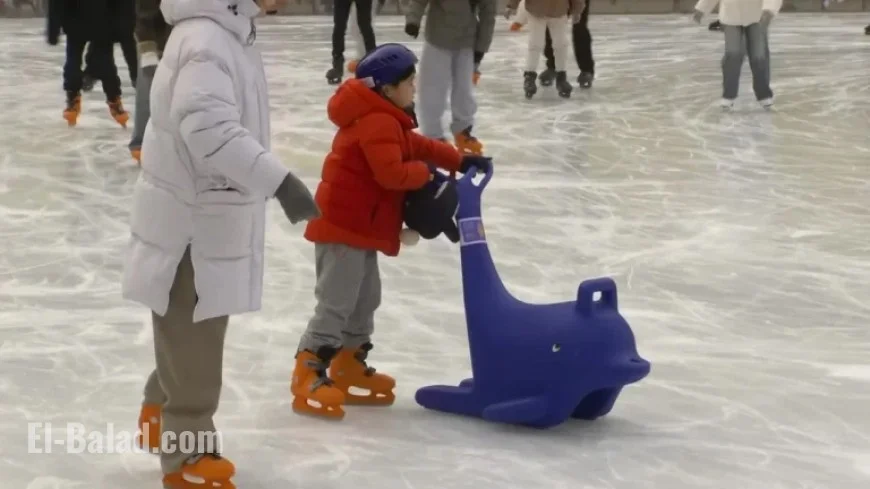 Mild Weather Marks Last Holiday; Snow and Rain in Midwest