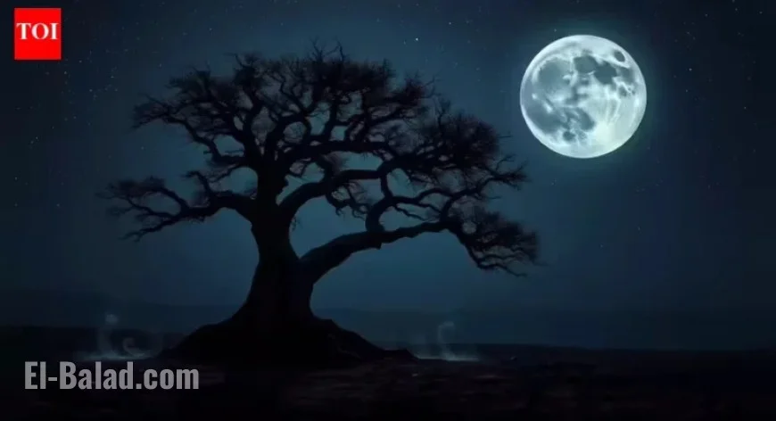 Guide to Today’s Moon Phase (Dec 22, 2025) with Affirmations for All Zodiac Signs