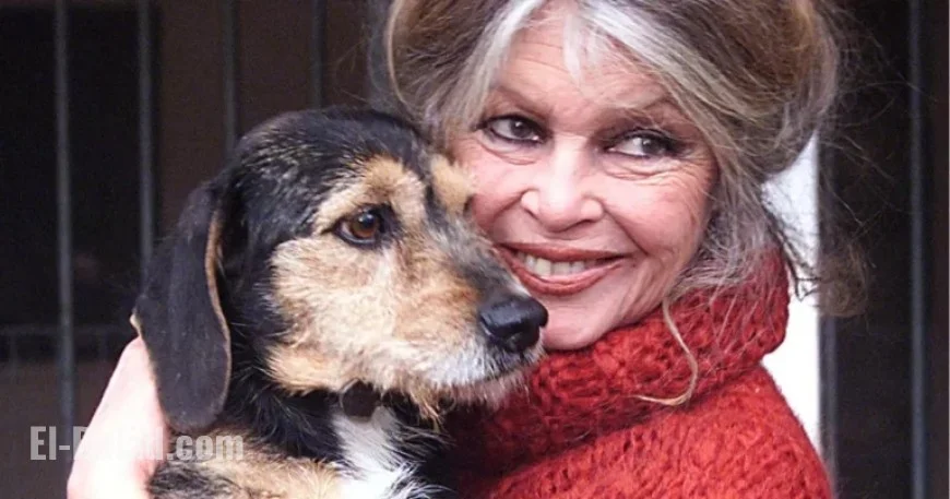 Brigitte Bardot Dedicates Her Second Act to Animal Advocacy