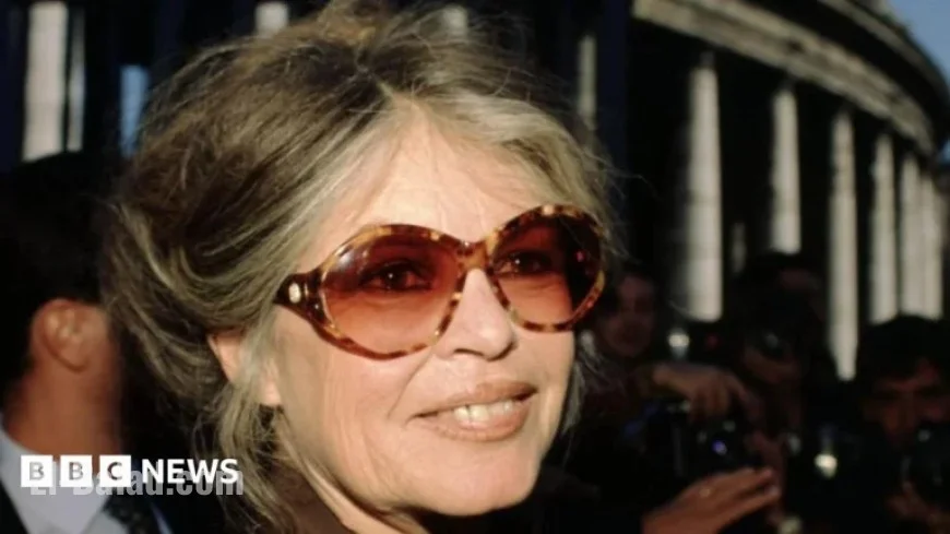 French Icon Brigitte Bardot Dies at 91, Media Confirms