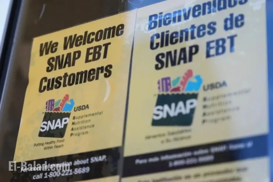How to Appeal SNAP Benefit Losses
