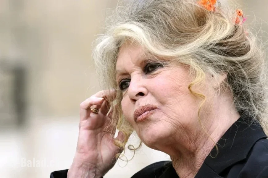 Brigitte Bardot Passes Away at 91 (1934-2025)
