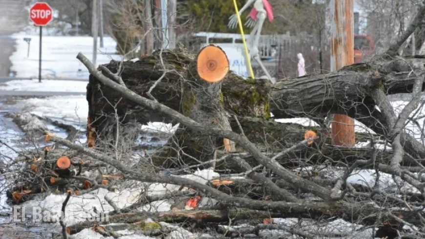 Staying Safe During Michigan Winter Power Outages