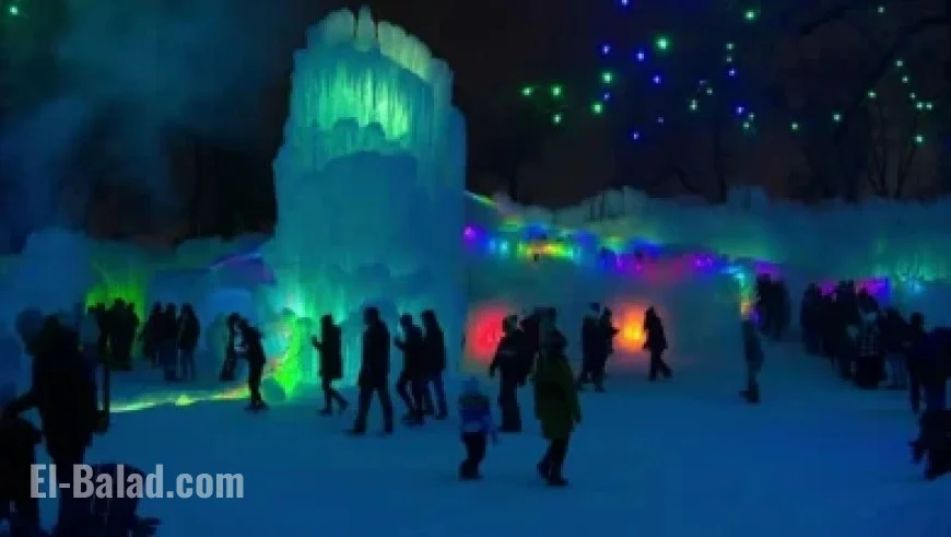 Airline Introduces Cost-Saving Program Starting January 1