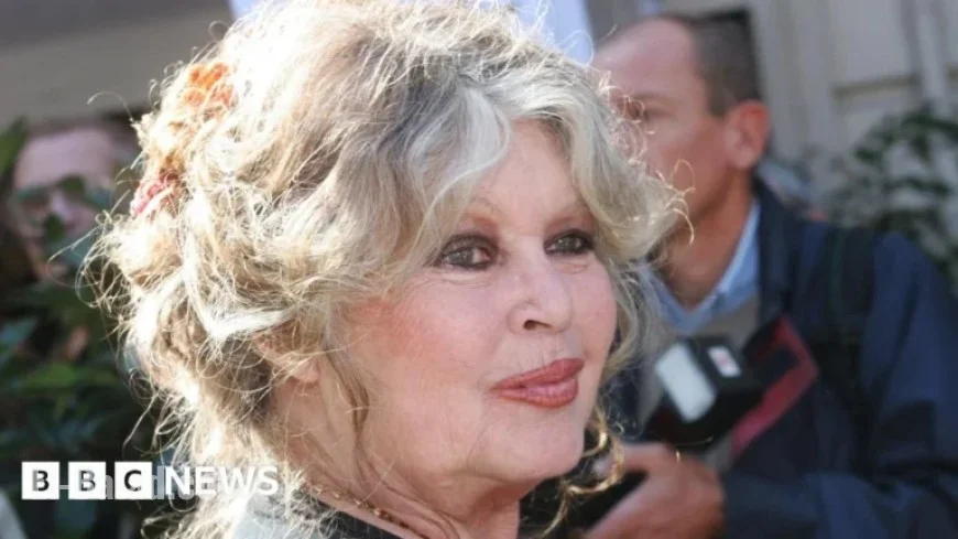 French Cinema Icon Brigitte Bardot Passes Away at 91