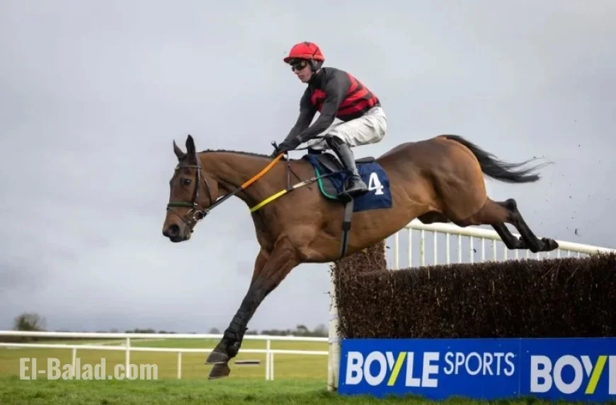Affordable Fury and Sam Ewing Stun in Savills Chase, Defeating Galopin Des Champs