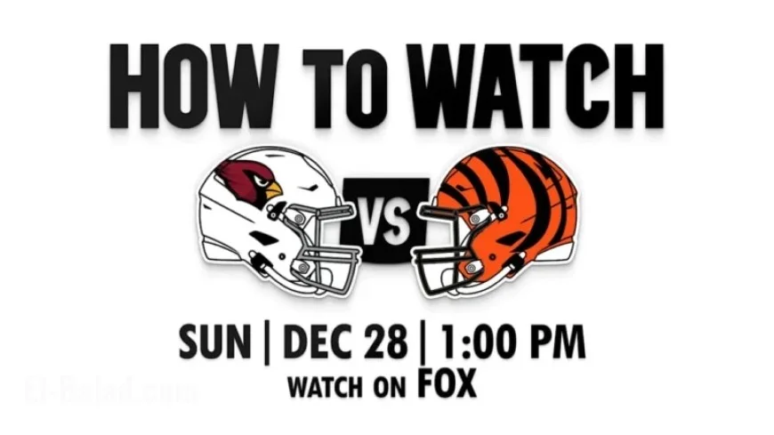 Watch Cardinals vs Bengals: 2025 Week 17 Live Streaming Guide