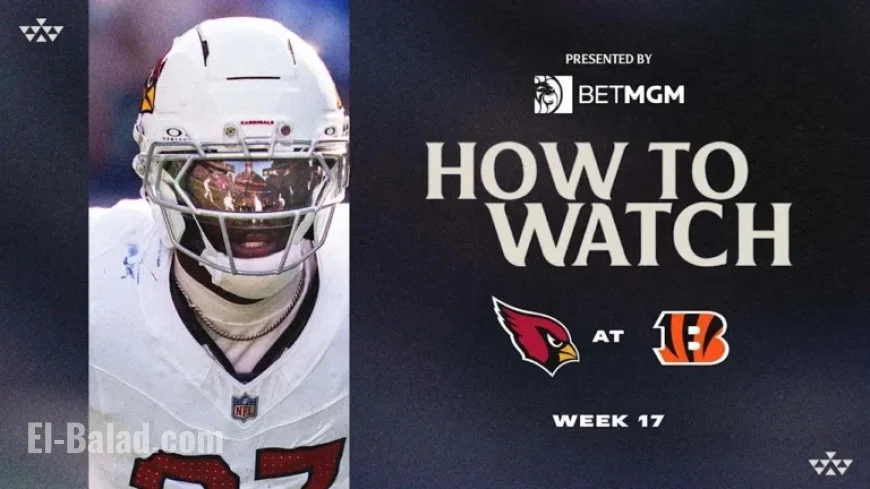 Cardinals vs. Bengals Week 17: How to Watch Live
