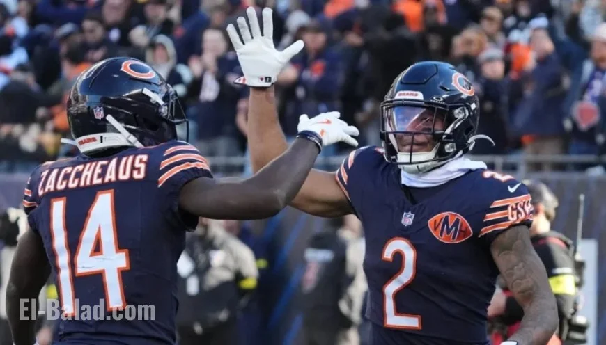 Bears’ WRs DJ Moore, Olamide Zaccheaus Added to Illness Report