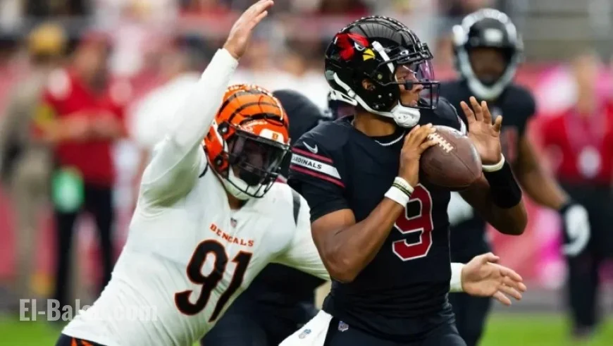 Where to Watch Bengals vs Cardinals: NFL Game Time & TV Schedule