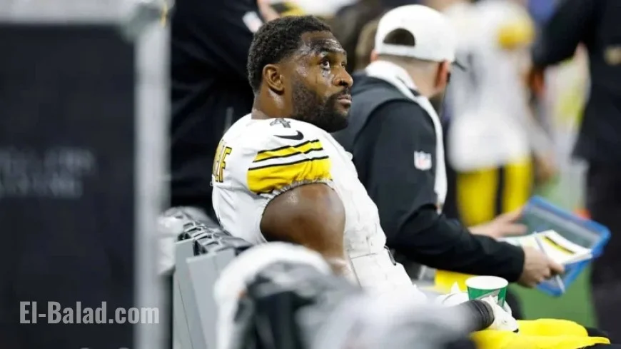 Steelers’ DK Metcalf Suspended Two Games for Fan Altercation vs. Lions