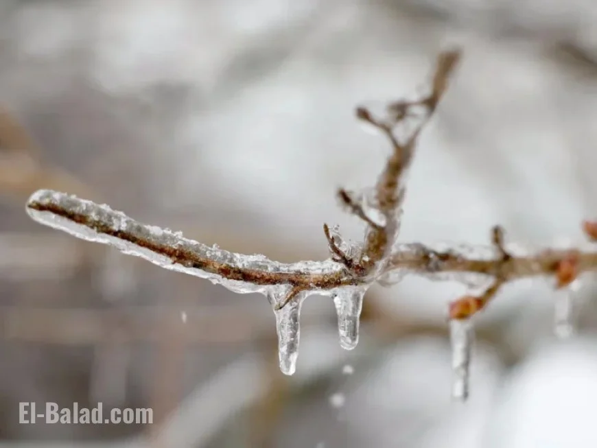Upstate NY Braces for Rain, Ice, and Snow Before New Year’s Eve