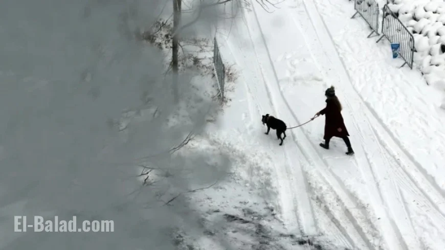 ‘Bomb Cyclone to Unleash Heavy Snow, Blizzard, and Hazardous Travel’