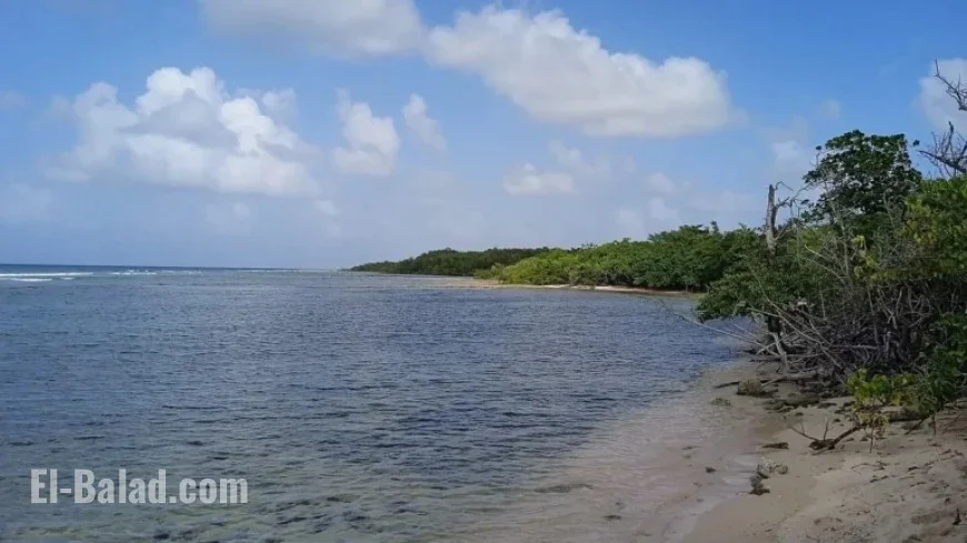 Sixty-Year-Old Man Dies While Hiking in Anse-Bertrand