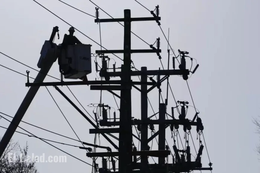 High Winds Lead to DTE Power Outages in Metro Detroit