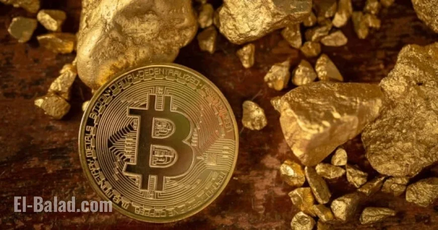 Solana Identity Revolution: SNS Rebrand, $SNS TGE, Boosts .sol Name Adoption