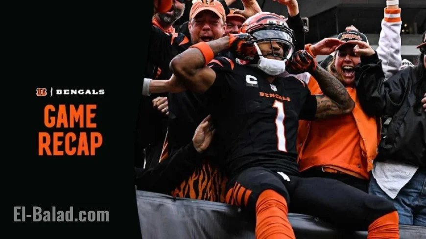 Bengals vs Dolphins: Postgame Recap, Stats, Key Highlights & Quotes