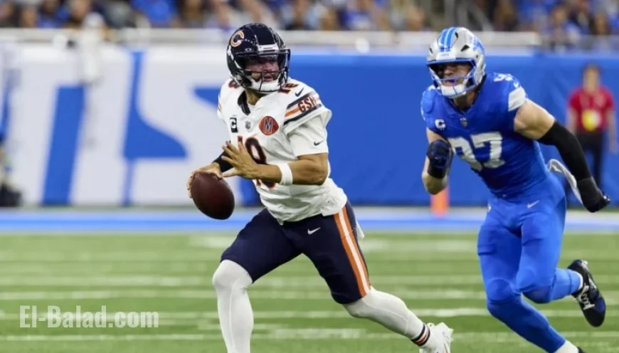 Bears Host Lions in Sunday Finale at 3:25 p.m.