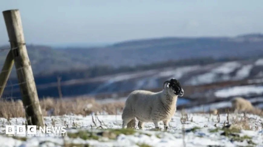 New Year Cold Snap Prompts Amber Health Alerts