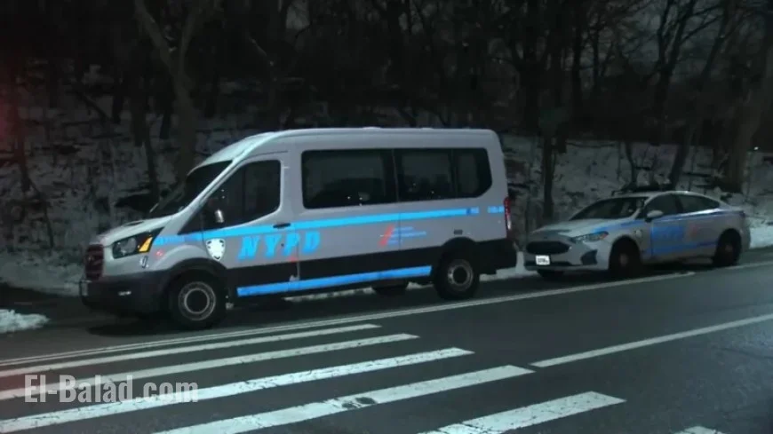 Police Arrest Suspect in Central Park 15-Year-Old Assault Case