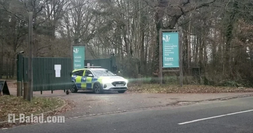Incident Forces Closure of Essex Beauty Spot to Visitors