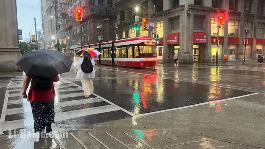 Environment Canada Issues Rainfall Warning for Toronto