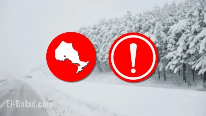 Major Winter Storm Hits Ontario, Causing Outages and Delays