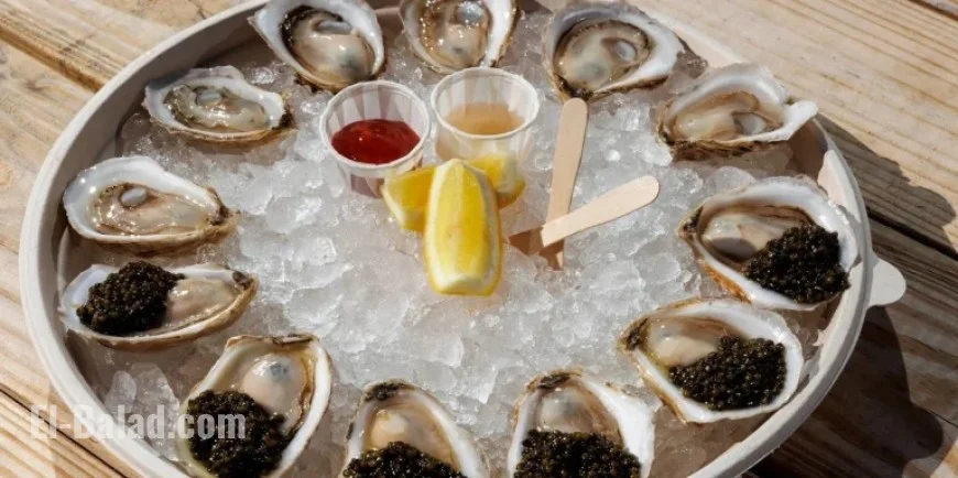 Salmonella Outbreak Tied to Raw Oysters Across Multiple States