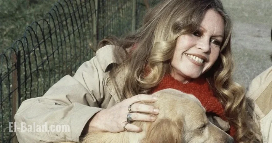 France Divided on Brigitte Bardot Tribute Amid Controversial Far-Right Views