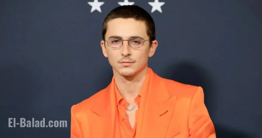 Marty Supreme Shatters Box Office Records for A24