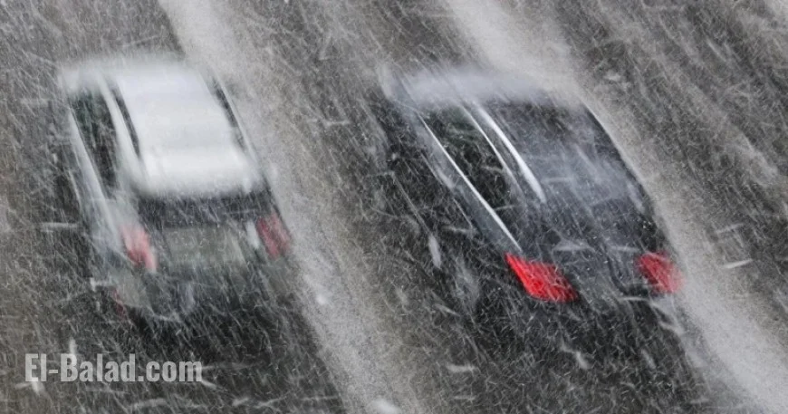 Minnesota Holiday Blizzard: Latest Snowfall Totals Revealed