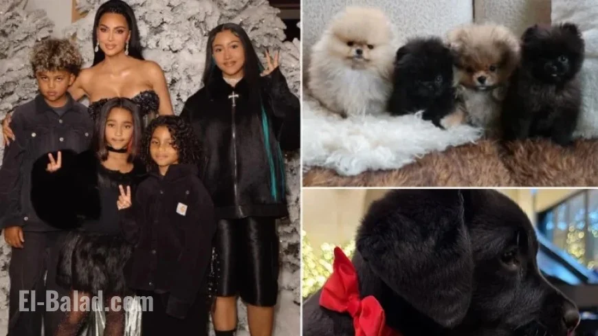 PETA Criticizes Kim Kardashian for Giving Puppy as a Gift