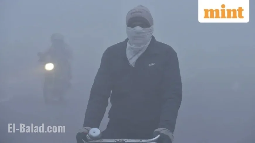 Delhi-NCR, UP Schools Closed Today as IMD Issues Red Alert for Fog
