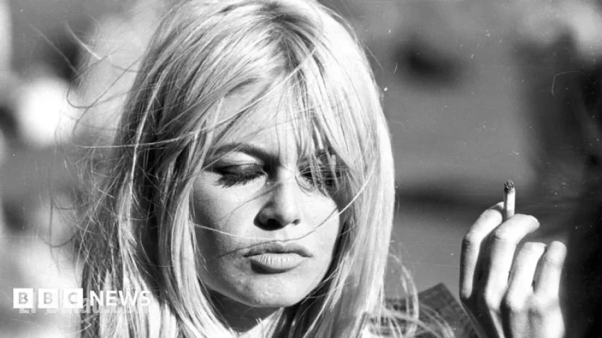 Brigitte Bardot: Explore the Iconic 1950s Screen Star’s Life in Photos